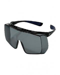 Smoke Lens Black Safety Goggles (Each)