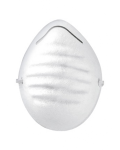 White Safety Mask (Each)