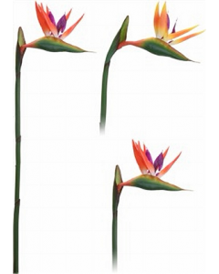 Artificial Flower 1 pc. (Each)