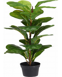 Assorted Design Artificial Iliadis Plant in Pot (Each)