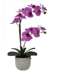 22 in. Dark Colour Pink Artificial Orchid (Each)