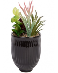 Mixed Cactus Artificial Plant (Each)