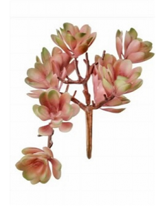 5 in. Artificial Plant (Each)