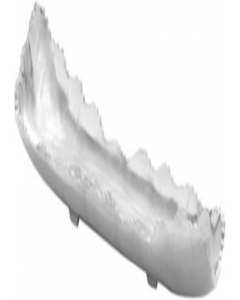 4 in. X 19 in. Tray (Each)