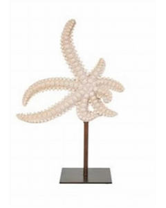 8 in. X 12 in. Decor (Each)