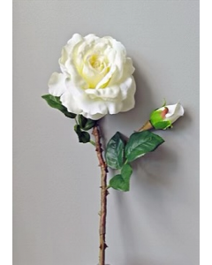 20 in. Cream Artificial Rose (Each)