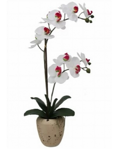 22 in. Artificial Orchid (Each)