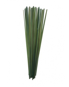 39 in. Green Dried Stick (Each)