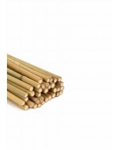 5 ft. Bamboo Stake (Each)