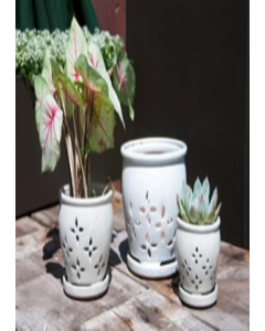 6 in. X 5 in. White Round Orchid Pot (Each)