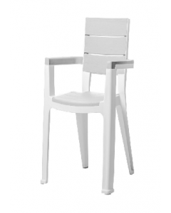1 pc. Chair (Each)