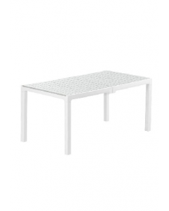 1 pc. Rectangle Table (Each)