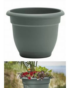 16 in. Basil Planter (Each)