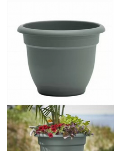 20 in. Basil Planter (Each)