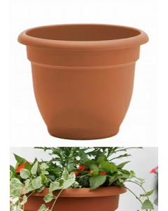 20 in. Terra Cotta Planter (Each)