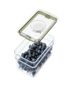 Medium Food Storage Container (Each)