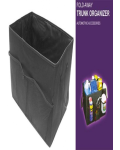 Foldable Storage Trunk (Each)