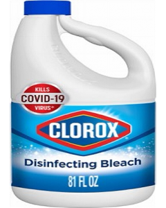 81 oz. Regular Bleach (Each)