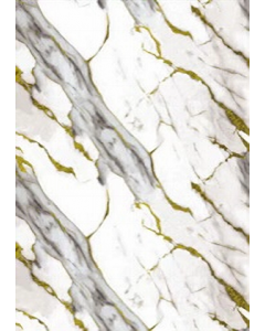 4 ft. X 8 ft. Wall Panel (Each)