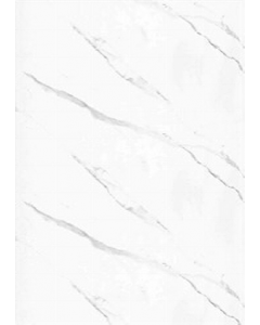 4 ft. X 8 ft. Wall Panel (Each)