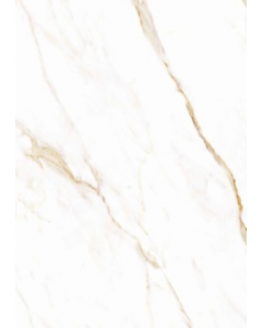 63 cm. Floor Tile PSI63000R (Each)