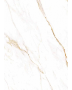 63 cm. Floor Tile PSI63540R (Each)