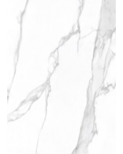 63 cm. Floor Tile PSI63670R (Each)