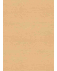 Fusion Maple 5 ft. X 12 ft. Laminate (Sheet)