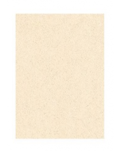 54 cm x 54 cm Aruana Beige Tiles (Each)