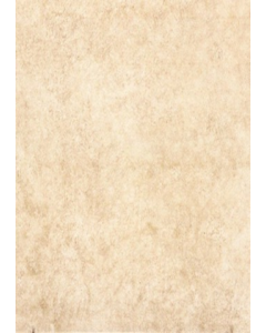 45 cm. X 45 cm. Ceramic Floor Tile 45215 (Each)