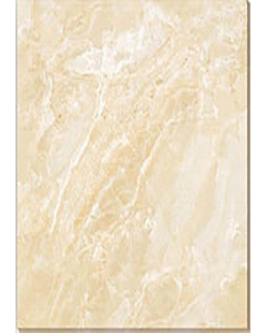 60 cm. x 60 cm. Porcelain Floor Tile 6B6050 (Each)