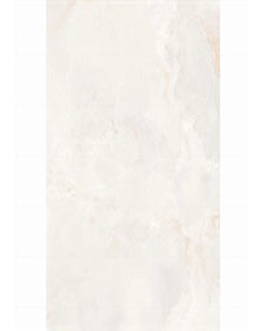 Onice 61 cm. x 61 cm. Porcelain Floor Tile #P62161 (Each)