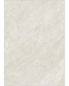 61 cm. x 61 cm. Porcelain Floor Tile (Each)