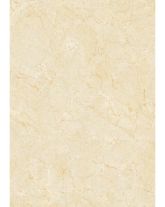 Polished Glazed 60x60cm  Floor Tile #B6033 (Each)