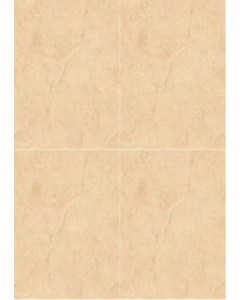 Polished Glazed 60x60cm  Floor Tile #B6087 (Each)