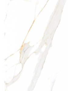 24 in. X 24 in. High Gloss Porcelain Floor Tile (Each)