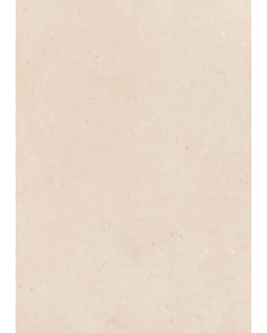 24 in. X 24 in. Matte Porcelain Floor Tile (Each)