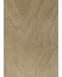 Matt 20x60cm Dayton Classic Ceramic Wall Tile #29304 (Each)