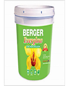 PAINT 3.8L E/GLO SUNDANCE (Each)