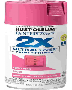 12 oz. Berry Pink Gloss Finish Spray Paint (Each)
