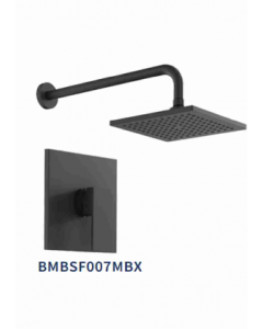 Black Single Lever Shower Faucet (Each)