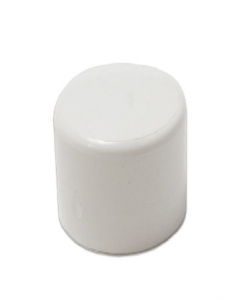 3/4 in. PVC SXS Cap (Each)