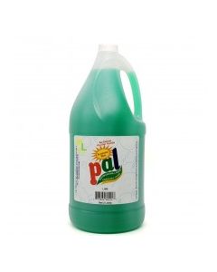 PAL DISHWASHING LIQUID LIME 2L