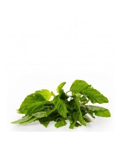 CALLALOO vwt Approx. 0.5 Kg bunch
