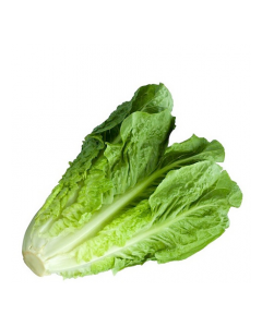 LETTUCE ROMAINE LOCAL vwt Approx. 0.4 Kg bag
