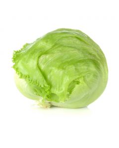 Iceberg Lettuce Unit