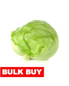 Iceberg Lettuce 700 g / 1.5 lb