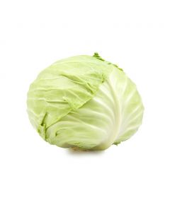 Green Cabbage 1.3 kg / 2.9 lb