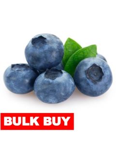 Blueberries 508 g / 1.12 lb