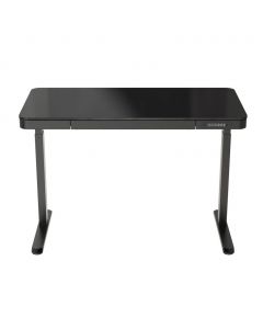 Loctek Height Adjustable Desk